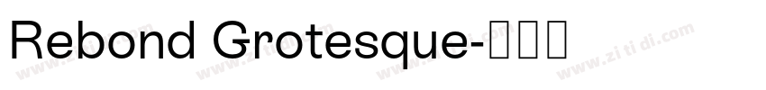 Rebond Grotesque字体转换 Rebond Grotesque字体转换